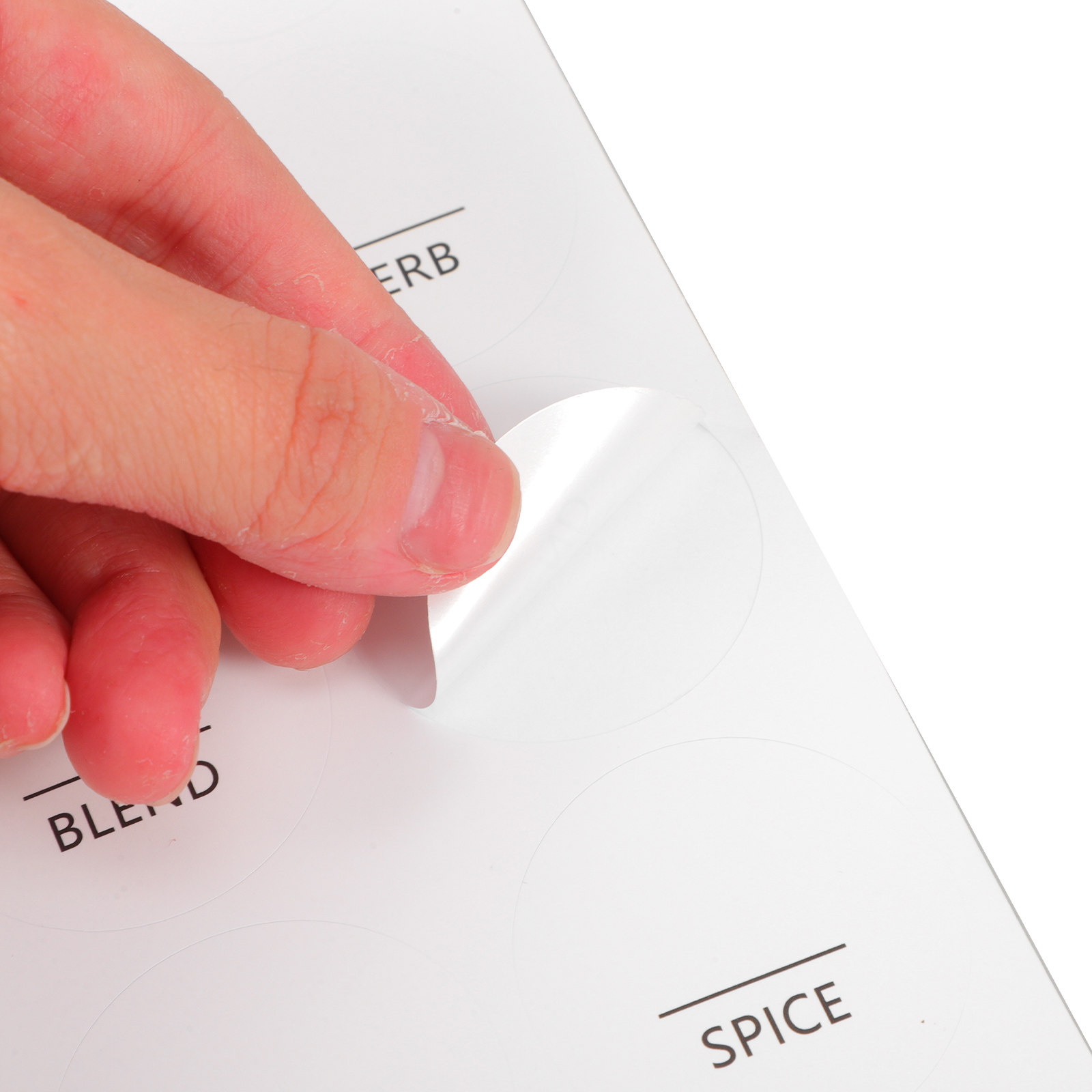 8 Sheets Waterproof Minimalist - Spice Jar Labels ulasan dan harga
