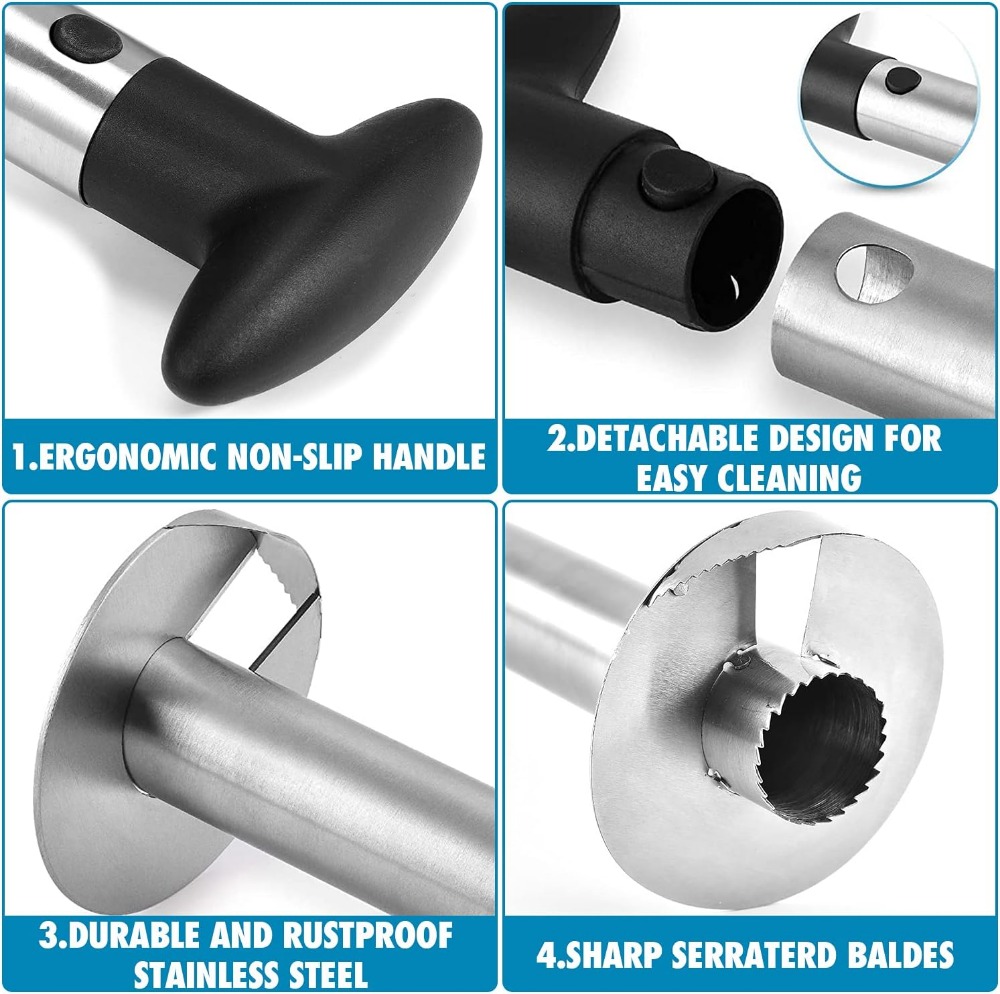 Stainless Steel Pineapple Core - Pineapple Corer Slicer ulasan dan harga