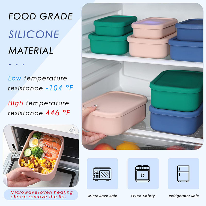 Leak-Resistant Bento Lunch Box - Meal Prep Meal Ideas ulasan dan harga
